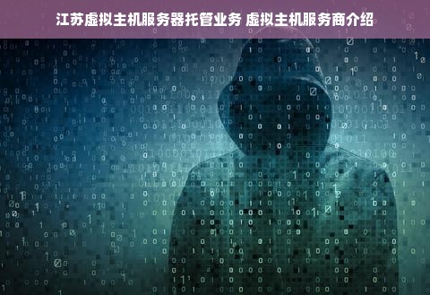 江苏虚拟主机服务器托管业务 虚拟主机服务商介绍