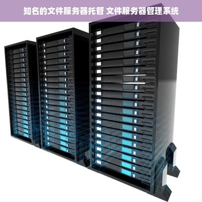 知名的文件服务器托管 文件服务器管理系统